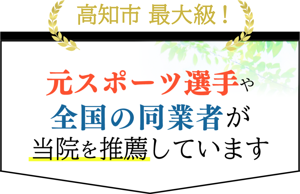 元スポーツ選手や全国の同業者が当院の施術を絶賛しています